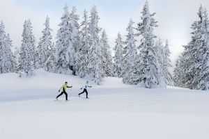 Langlauf im Pillerseetal