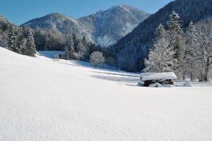 Winterwandern Pillerseetal