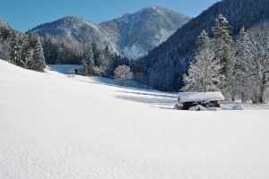 Winterwandern Pillerseetal