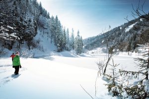 Winterwandern Pillerseetal