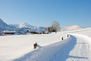 Winterwandern Pillerseetal